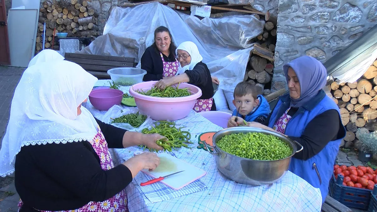 Bursa’da kırsal mahallelerde yaşayıp, geçimlerini topraktan sağlayan 523 kadının kaderi kurdukları kooperatifler sayesinde değişti.