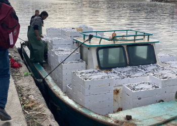 1 ton 100 kilo lüfer ve istavrite el konuldu