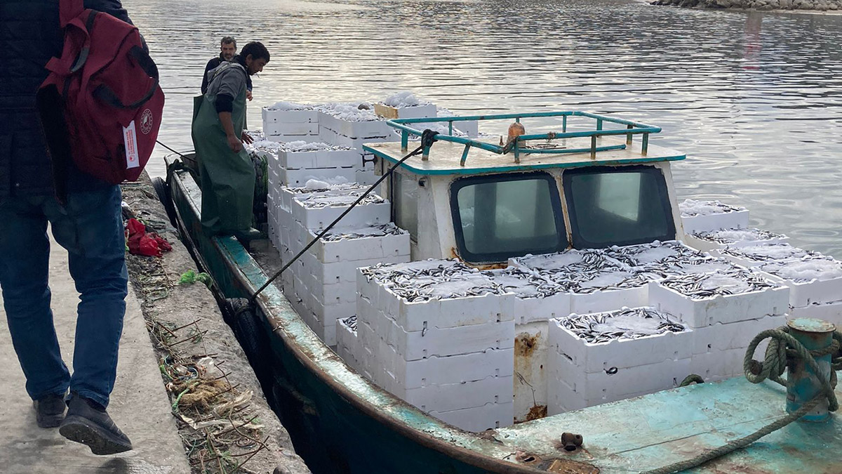 1 ton 100 kilo lüfer ve istavrite el konuldu