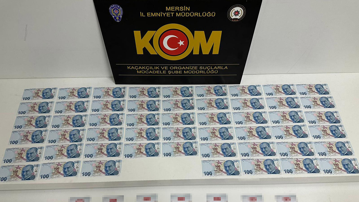 Mersin merkezli 3 ilde FETÖ/PDY operasyonu; 14 gözaltı