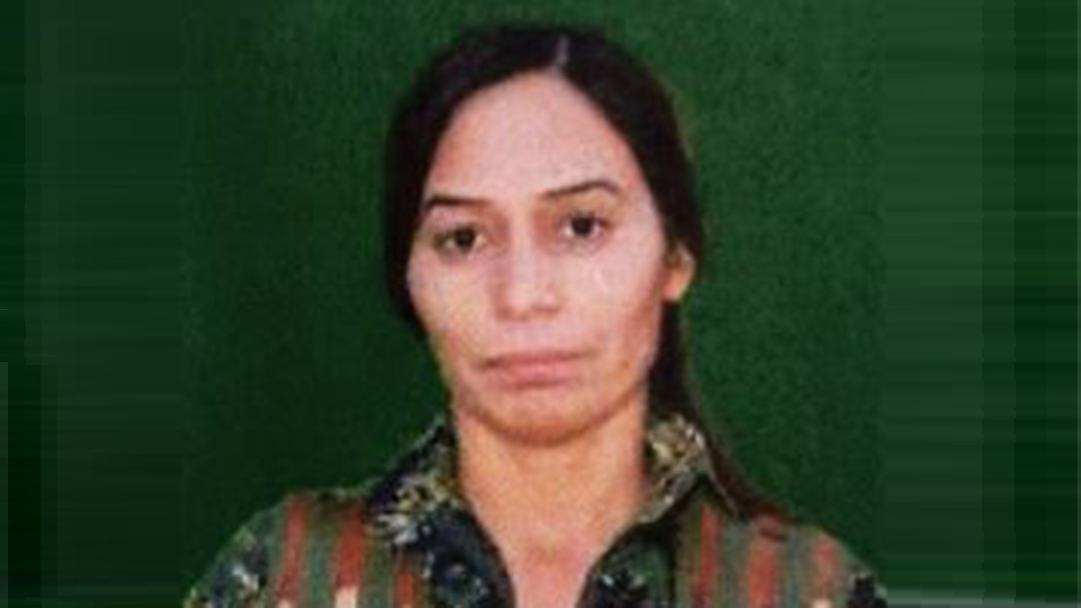 MİT, PKK/YPG'nin sözde eyalet sorumlusunu etkisiz hale getirdi