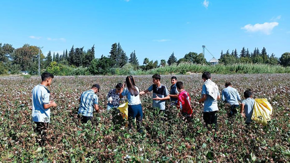 Hatay’da okul bahçesindeki tarım arazisine yerli pamuk eken öğrenciler hasat sonrası 400 bin TL gelir elde etti.
