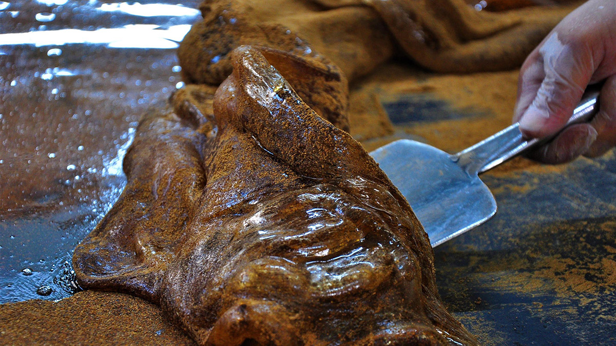 Birleşmiş Milletler Eğitim, Bilim ve Kültür Kurumu'nun (UNESCO) 'İnsanlığın Somut Olmayan Dünya Kültürel Mirası' listesinde de yer alan Manisa Mesir Macunu Festivali, koronavirüsün ardından 3 yıl sonra, önümüzdeki yıl yapılacak.