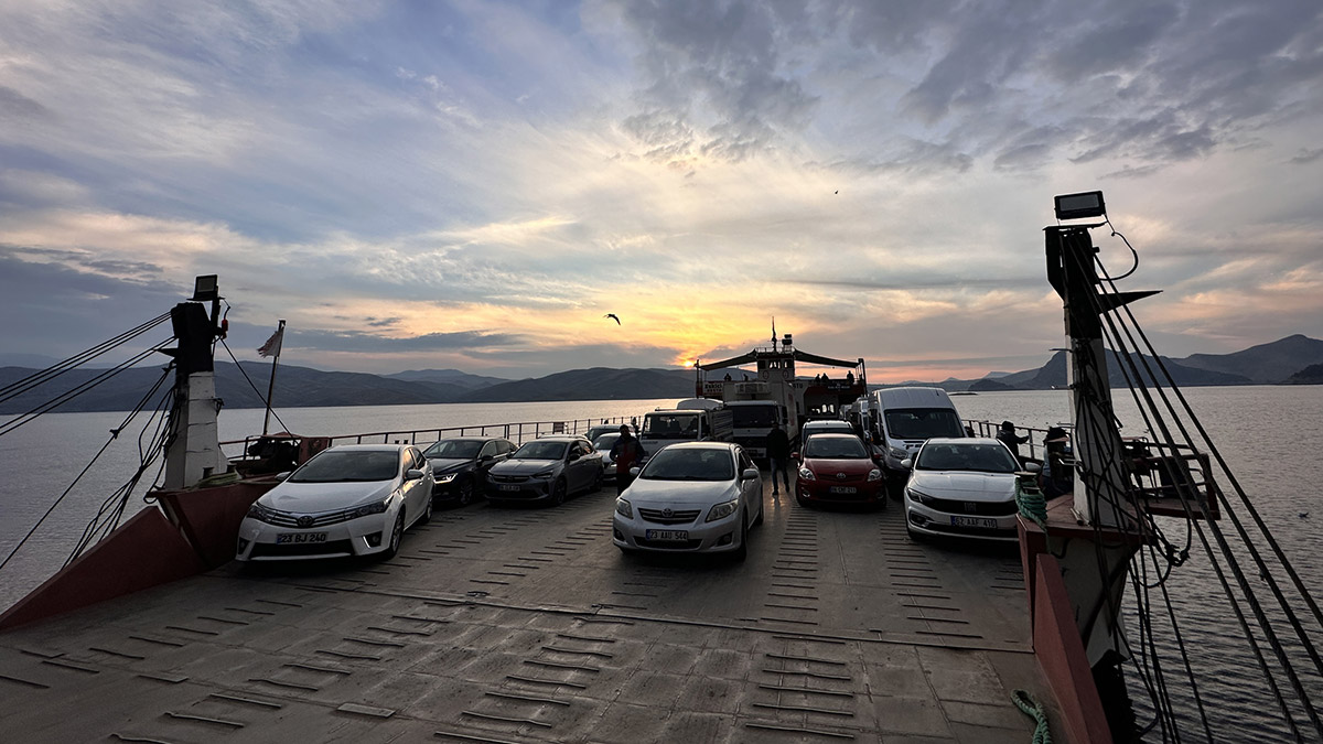 Pertek feribot seferinin geliri sokak hayvanlarına