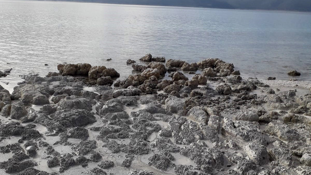 Salda Gölü kumsalındaki kararma yayılıyor