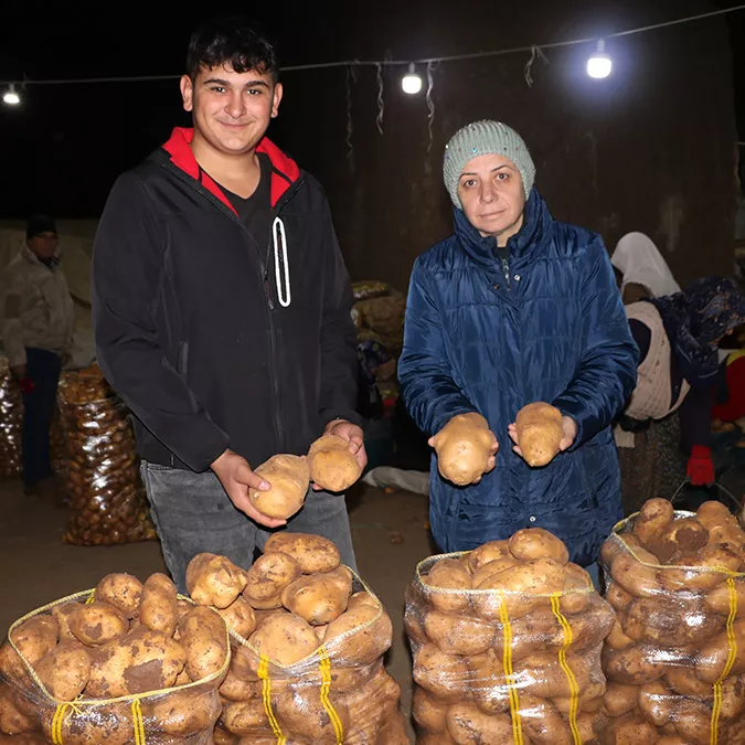 Patates üreticisinin yüzü güldü