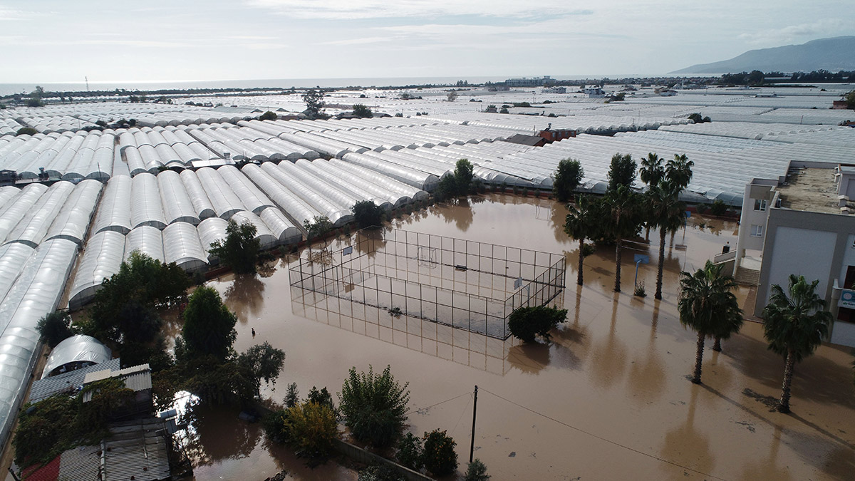 Sel felaketinde seralar zarar görünce hale giden ürün azaldı