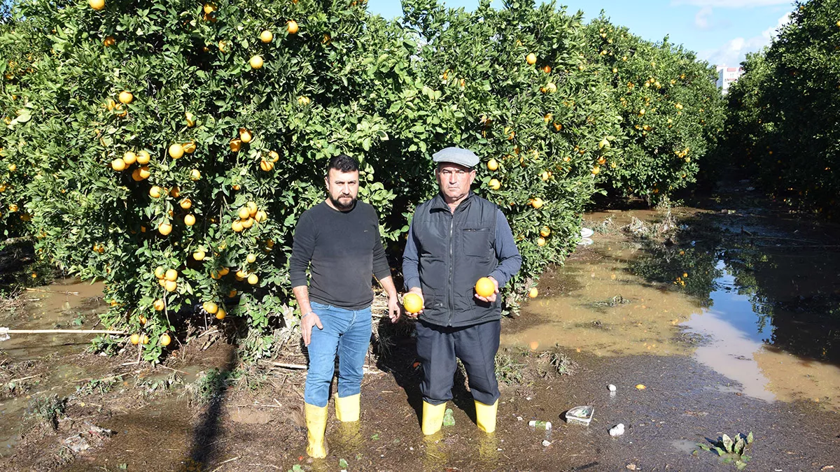 Antalya'nın kumluca ilçesinde yaşanan sel felaketinde seralar zarar görünce, toptancı haline giren ürün miktarı da azaldı.