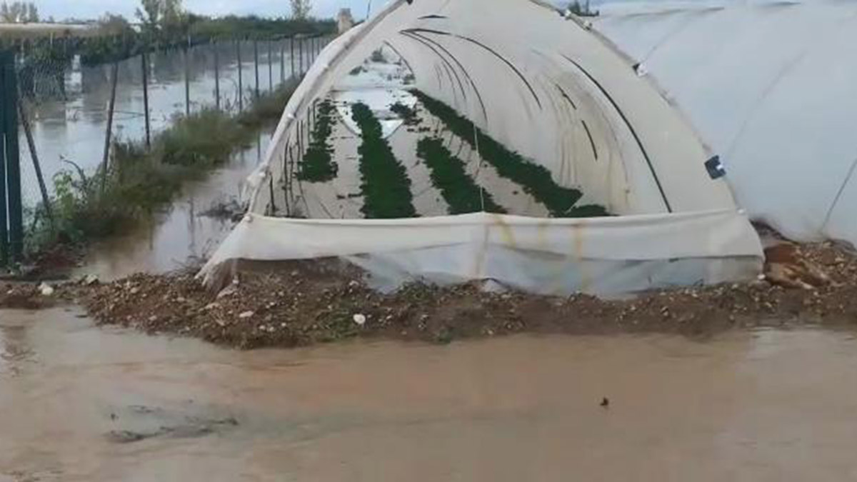 Serik'te sağanak çilek seralarına zarar verdi