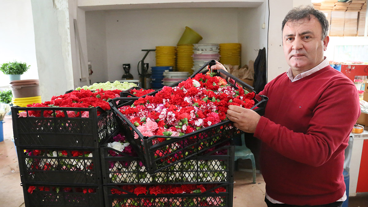 Orta Anadolu Süs Bitkileri ve Mamulleri İhracatçıları Birliği (OAİB) Başkanı İsmail Yılmaz, Yunanistan'da sirtakide tabak kırmanın yasaklanmasıyla kadınların başına çiçek dökülen bir eğlence türü geliştirildiğini, bu amaçla Antalya'dan bu ülkeye 5 milyon çiçek kafası ihracatı yapıldığını açıkladı.