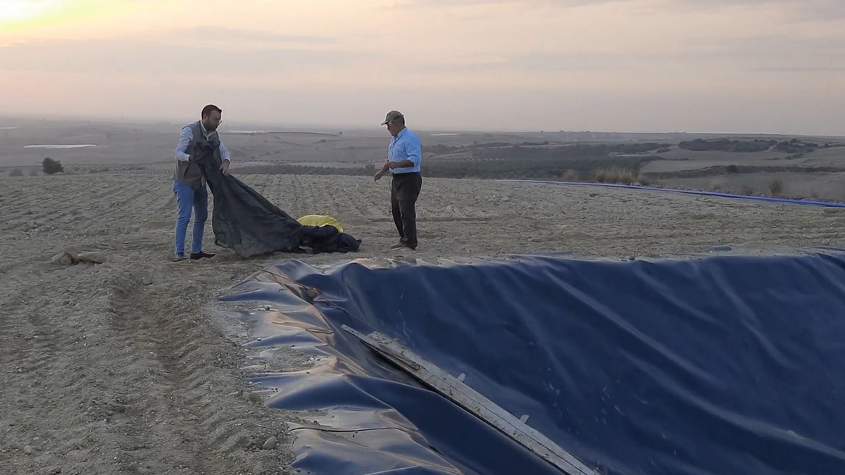 Sulama havuzuna düşen çakal kurtarıldı