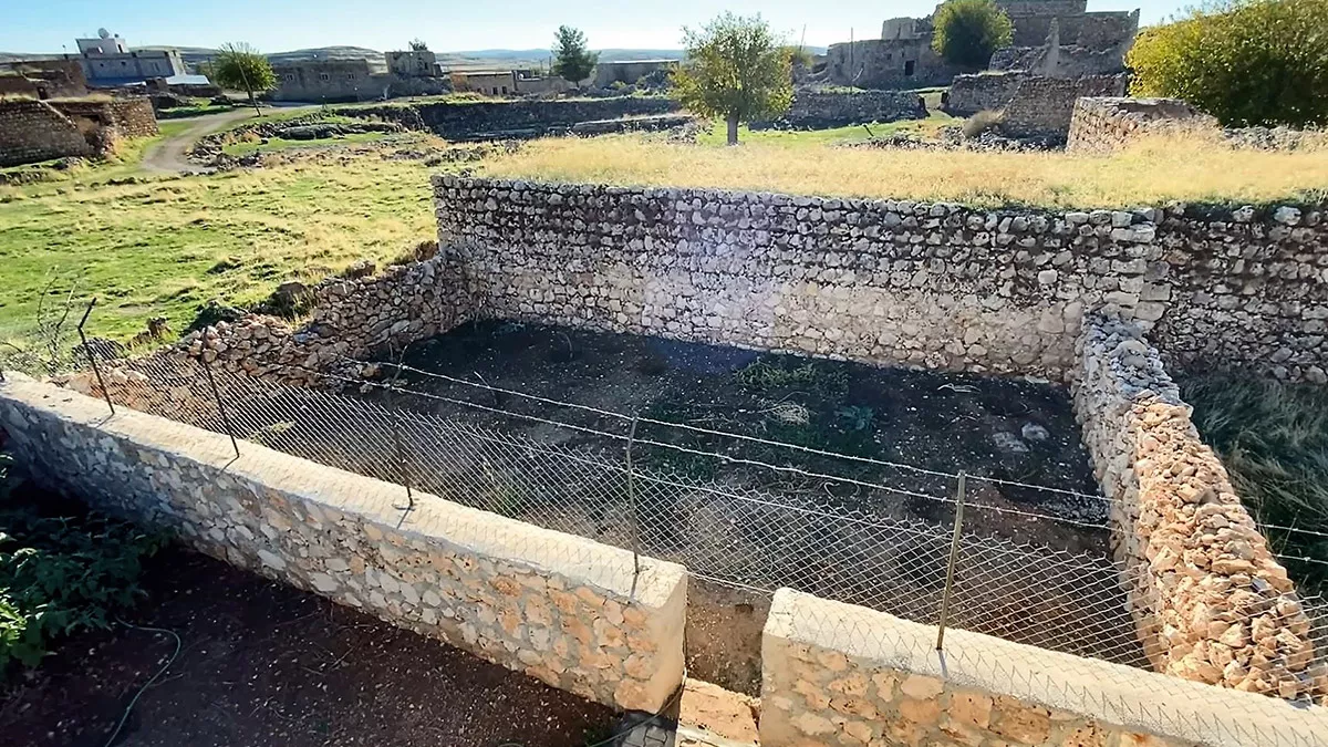 Mardin'in midyat ilçesinden 1985’te ailesiyle göç ettiği almanya’dan geçen yıl dönüş yapan rahibe hatune doğan’ın (52), bahçesine diktiği 15 zeytin fidanı kimliği belirsiz kişi ya da kişilerce kırıldı.  