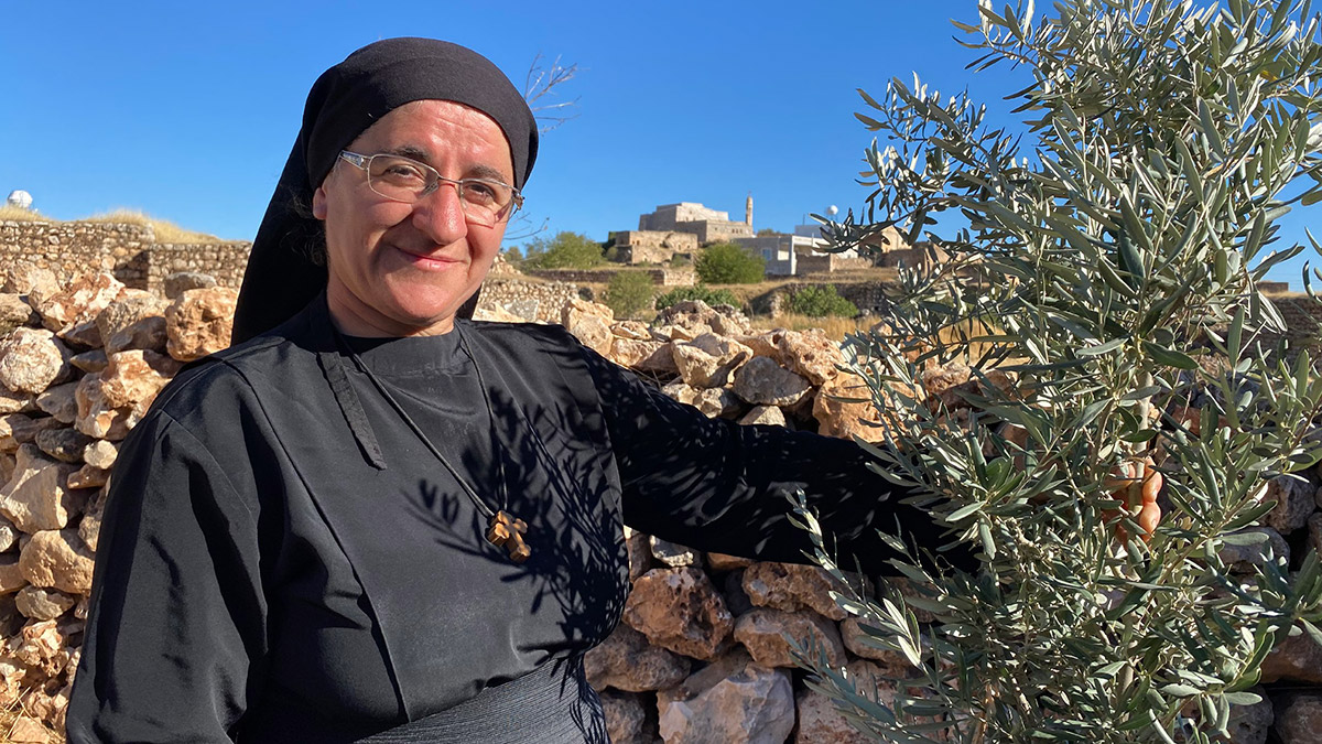 Bahçesine diktiği 15 zeytin fidanını kırdılar