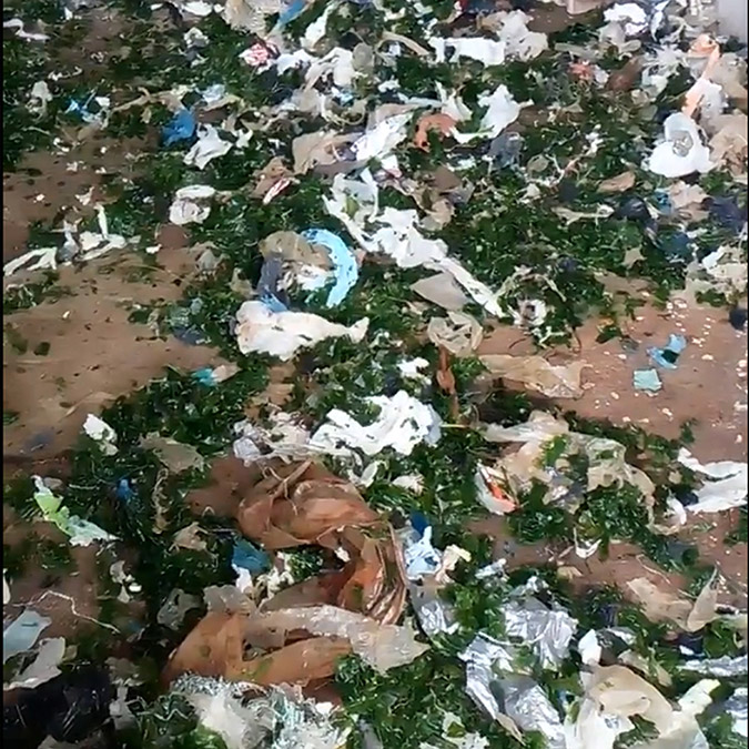 Çöpler Karadeniz'de balıkçı ağlarına zarar veriyor