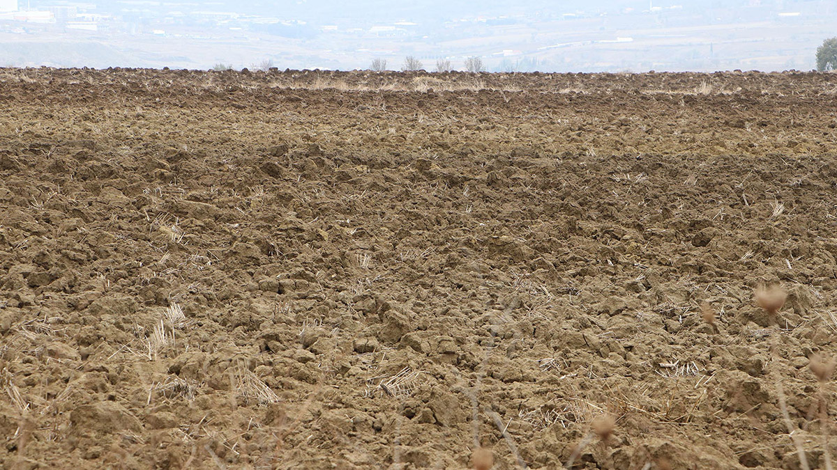 Trakya Tohumcular Derneği Başkanı İbrahim Toruk, Trakya Bölgesi'nin son 50 yılın en kurak dönemini geçirdiğini belirterek, üreticilerin kuru toprağa ekim yaptığını söyledi.