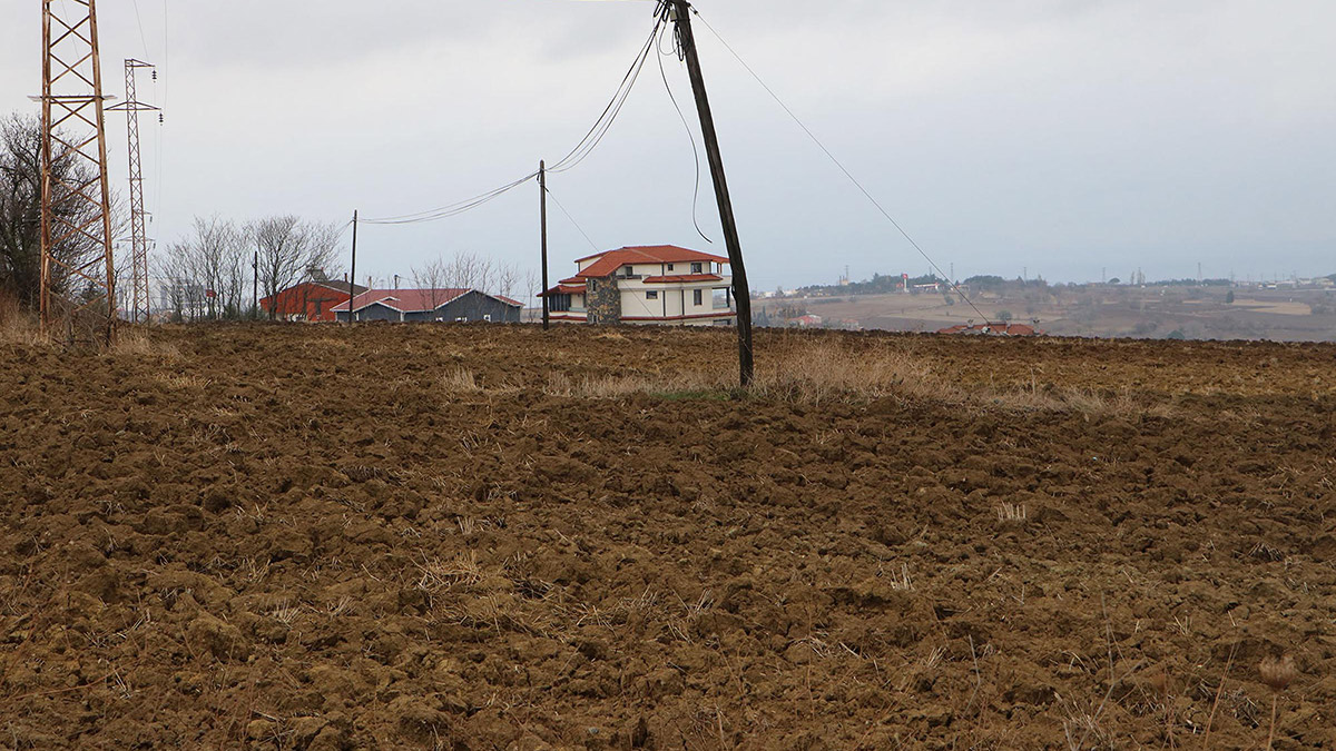 Trakya, son 50 yılın en kurak dönemini geçirdi