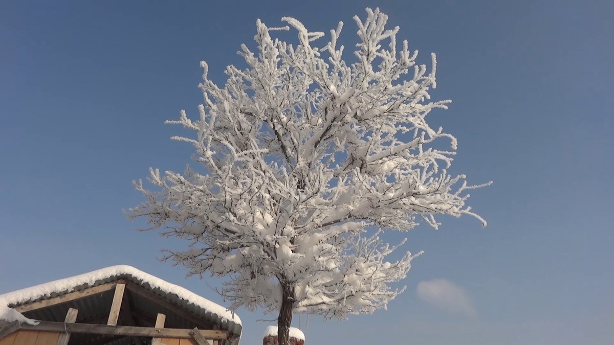 Türkiye'nin en soğuk yeri Sivas