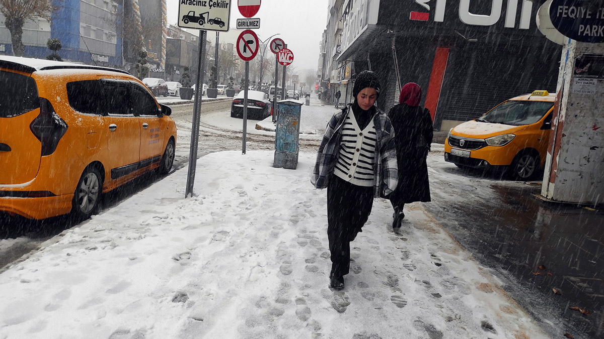 Van'da kar yağışı