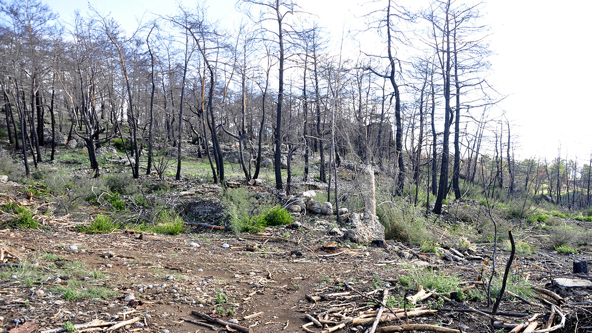 Antik kentteki eserlere zarar veren firmaya suç duyurusu