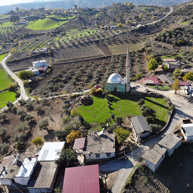 Yangında zarar gören meyve bahçeleri yeşeriyor