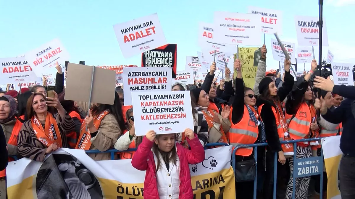 Yenikapı'da hayvan hakları mitingi