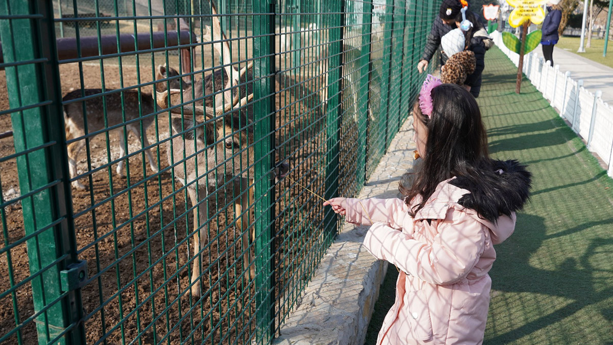Doğal Yaşam Parkı ziyaretçilerini bekliyor
