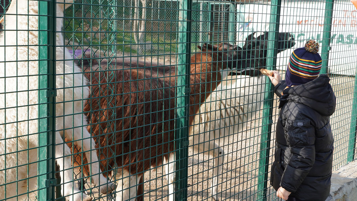 Doğal Yaşam Parkı ziyaretçilerini bekliyor