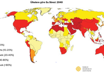 2022'nin bir numaralı krizi 'su sorunu'
