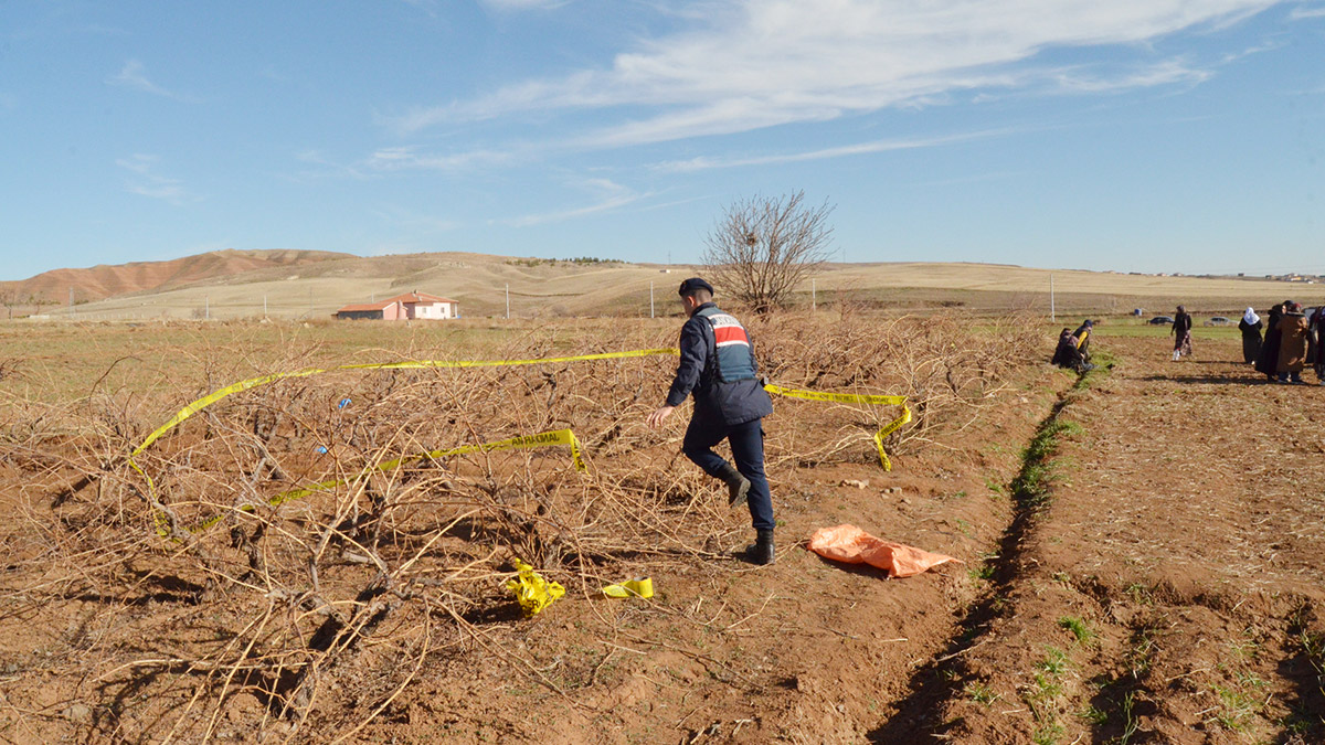 Çiftçi tarlasında ölü bulundu