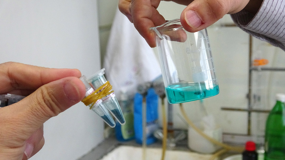 Bilim insanlarından kötü huylu hücreleri yok eden bileşik