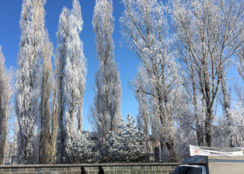 Ardahan buz kesti; eksi 24,8 derece