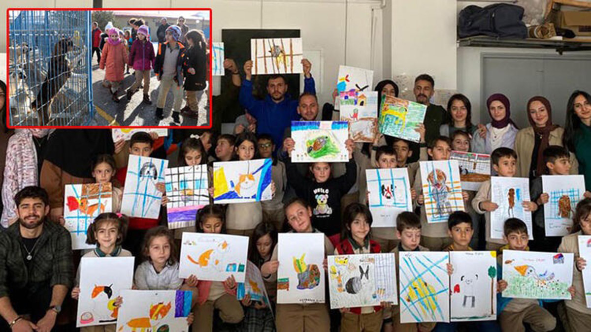 Barınakta gördükleri hayvanların resmini yaptılar