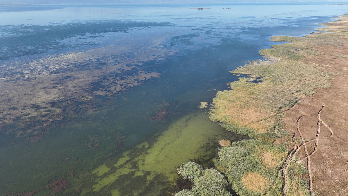 Beyşehir Gölü'nde su seviyesi kotun altında