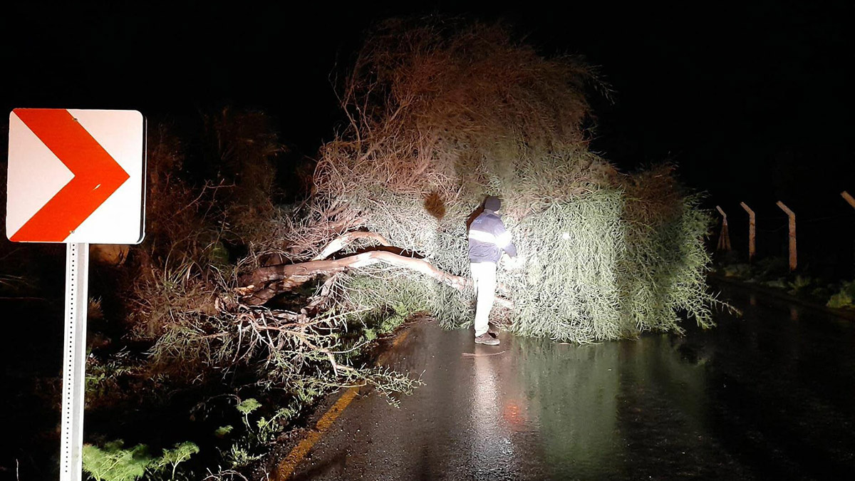 Bodrum'da fırtına ve sağanak hayatı felç etti