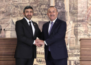 Çavuşoğlu, BAE Dışişleri Bakanı ile görüştü
