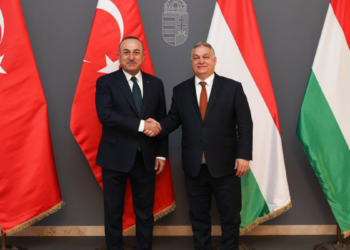 Çavuşoğlu, Macaristan Başbakanı Orban ile görüştü