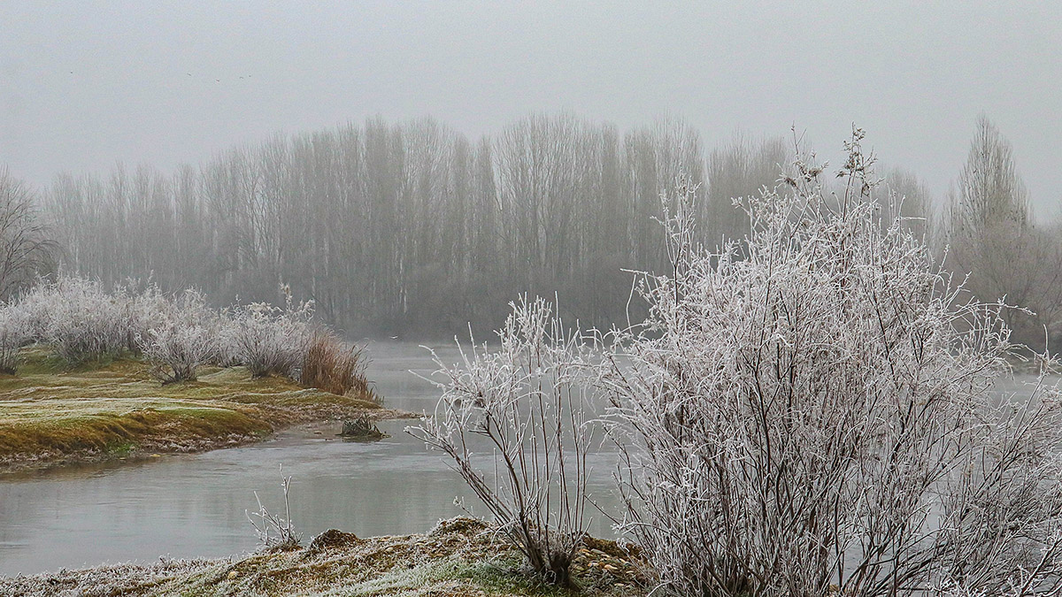 Dicle Vadisi, kırağı ile birlikte beyaza büründü