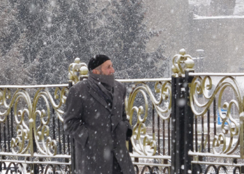 Erzurum'da kar yağışı başladı