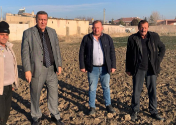 Kuraklık hububatta tohumu toprağa hapis etti