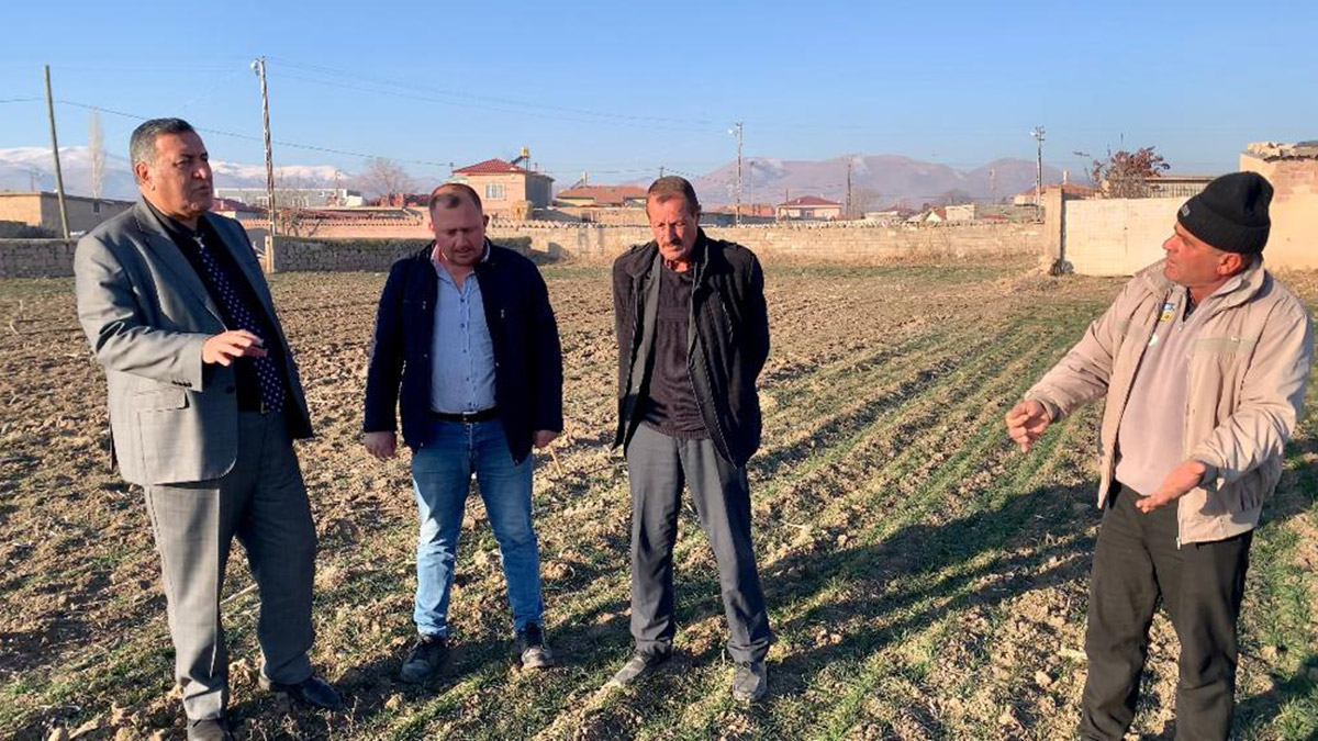 Kuraklık hububatta tohumu toprağa hapis etti