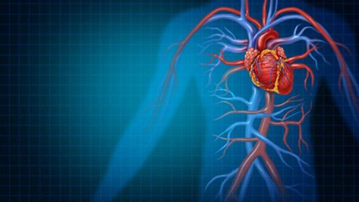 Kalp Damar Cerrahisi Uzmanı Prof. Dr. Erol Kurç, koroner damar hastalığından kaynaklanabilen göğüs ağrılarının hafife alınmaması gerektiğini belirtti.
