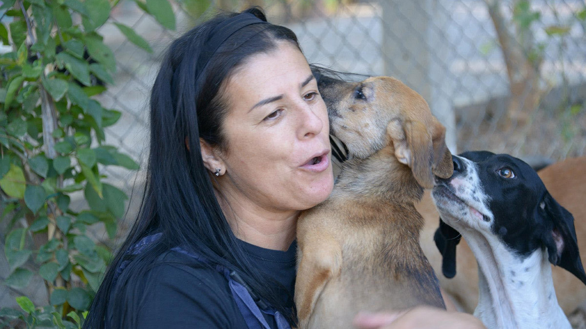 HAYDOS Başkanı türkan dağdelen tutuklandı