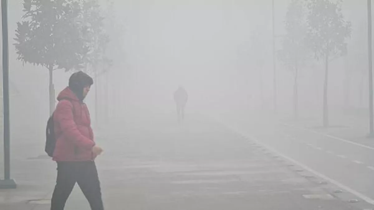 Hava kirliliği, sindirim sistemini vuruyor