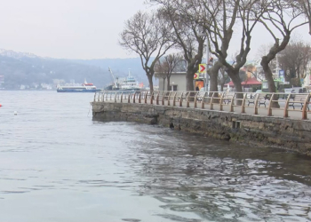 İstanbul Boğazı'nda denizanası yoğunluğu