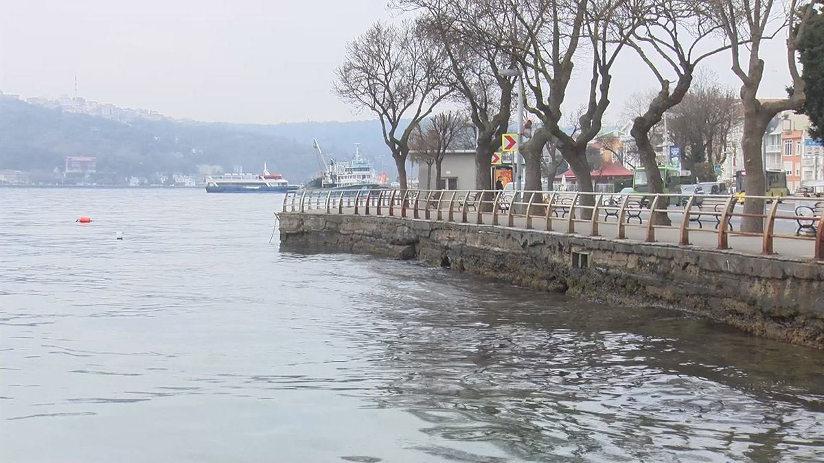 İstanbul Boğazı'nda denizanası yoğunluğu