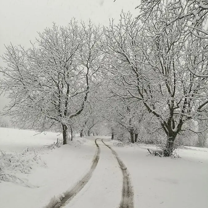 Izmirin 3 ilcesinde kar yagisia - yerel haberler - haberton
