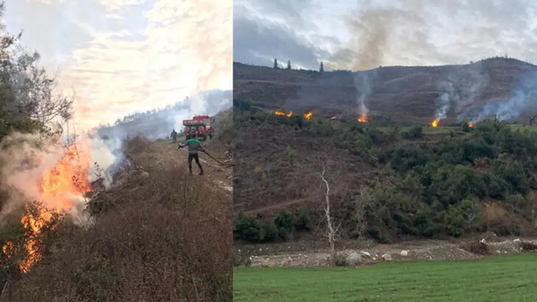 Kahramanmaraş'ta orman yangını çıkaran şüpheli tutuklandı