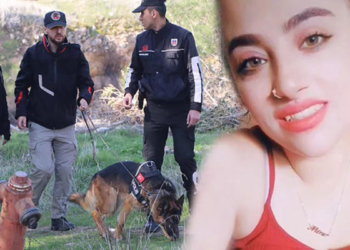 Kayıp Mine için kadavra köpekli arama