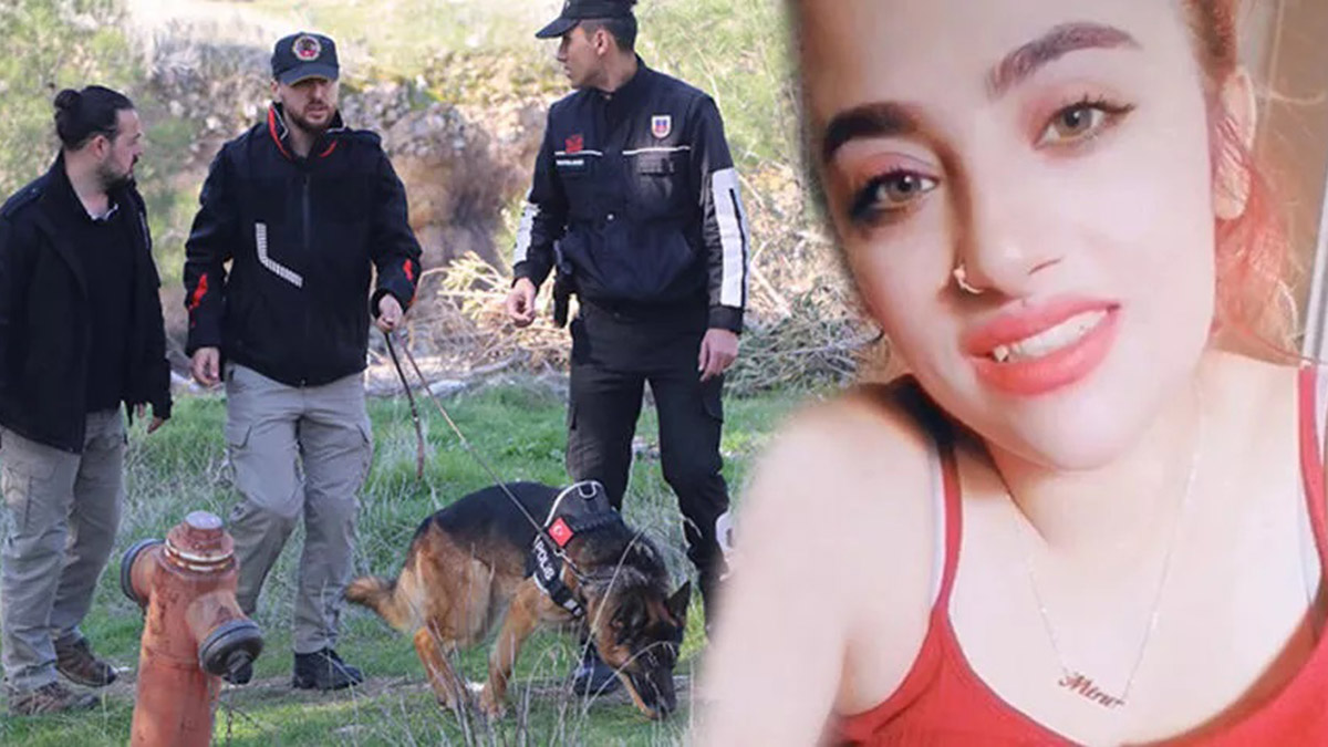 Kayıp Mine için kadavra köpekli arama