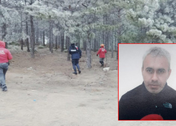 Kayıp Sezgin için ormanda yeniden arama yapıldı